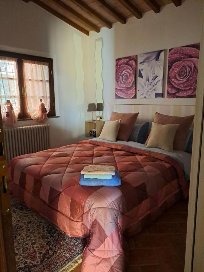 Il Rustichello Apartamento Pisa Exterior foto